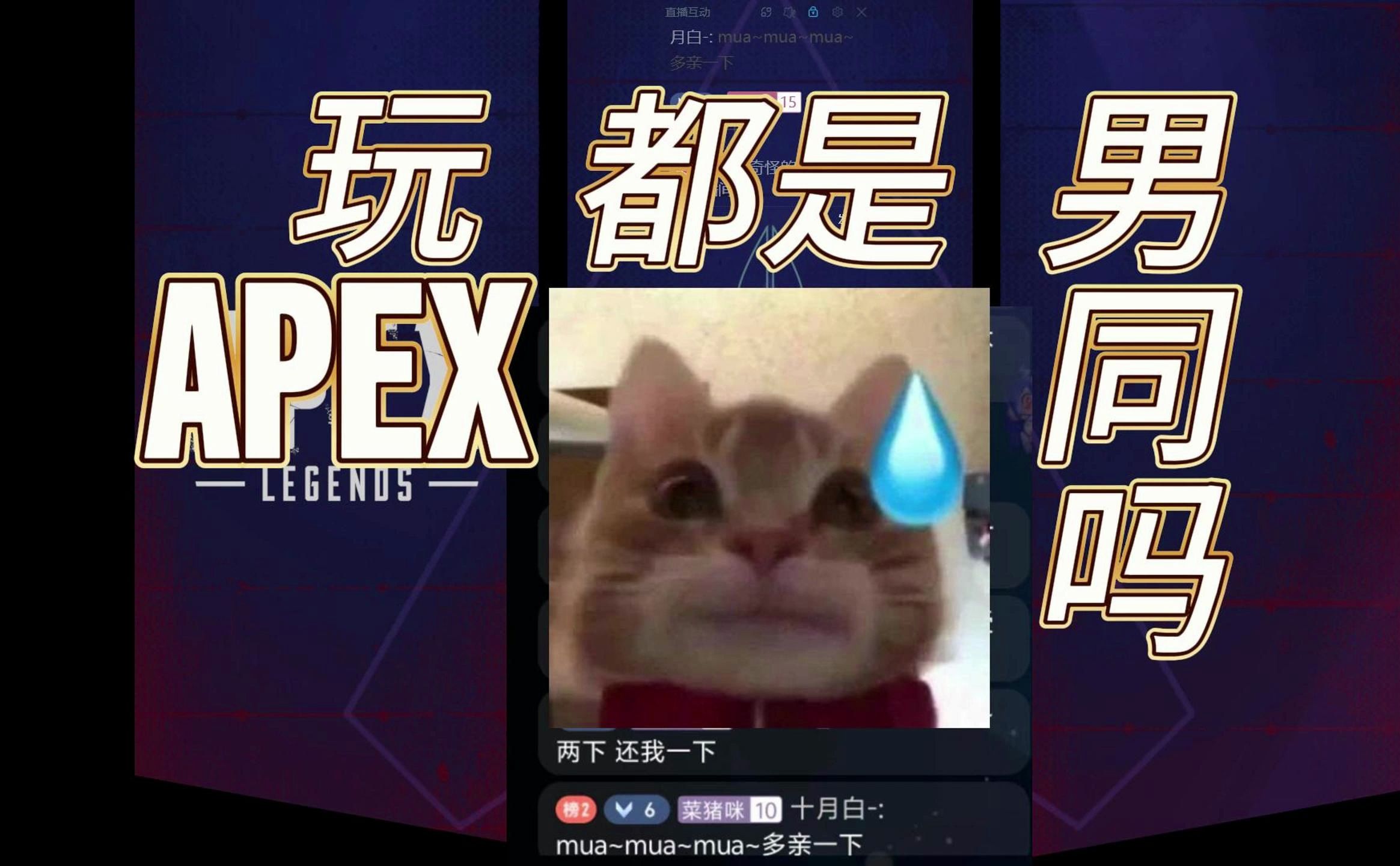 玩APEX的都是男同吗?网络游戏热门视频