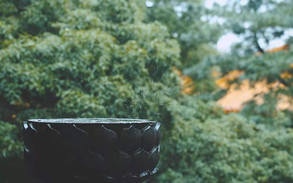 [图]【白噪音 雨声】杭州净慈寺 青灯古佛 转眼千年云烟飘过