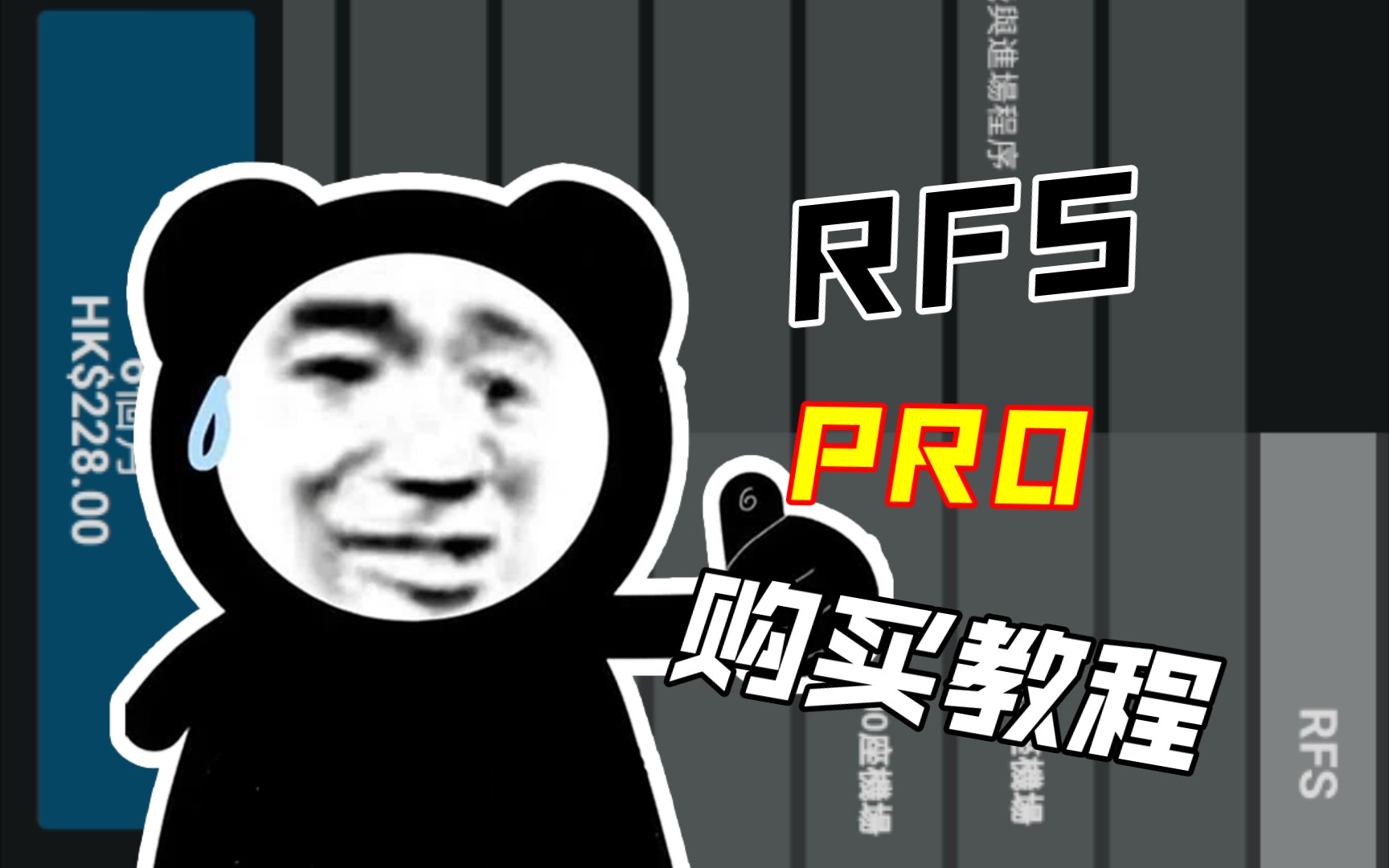 RFSPRO购买教程(详细购买金额看简介)哔哩哔哩bilibili模拟飞行教程