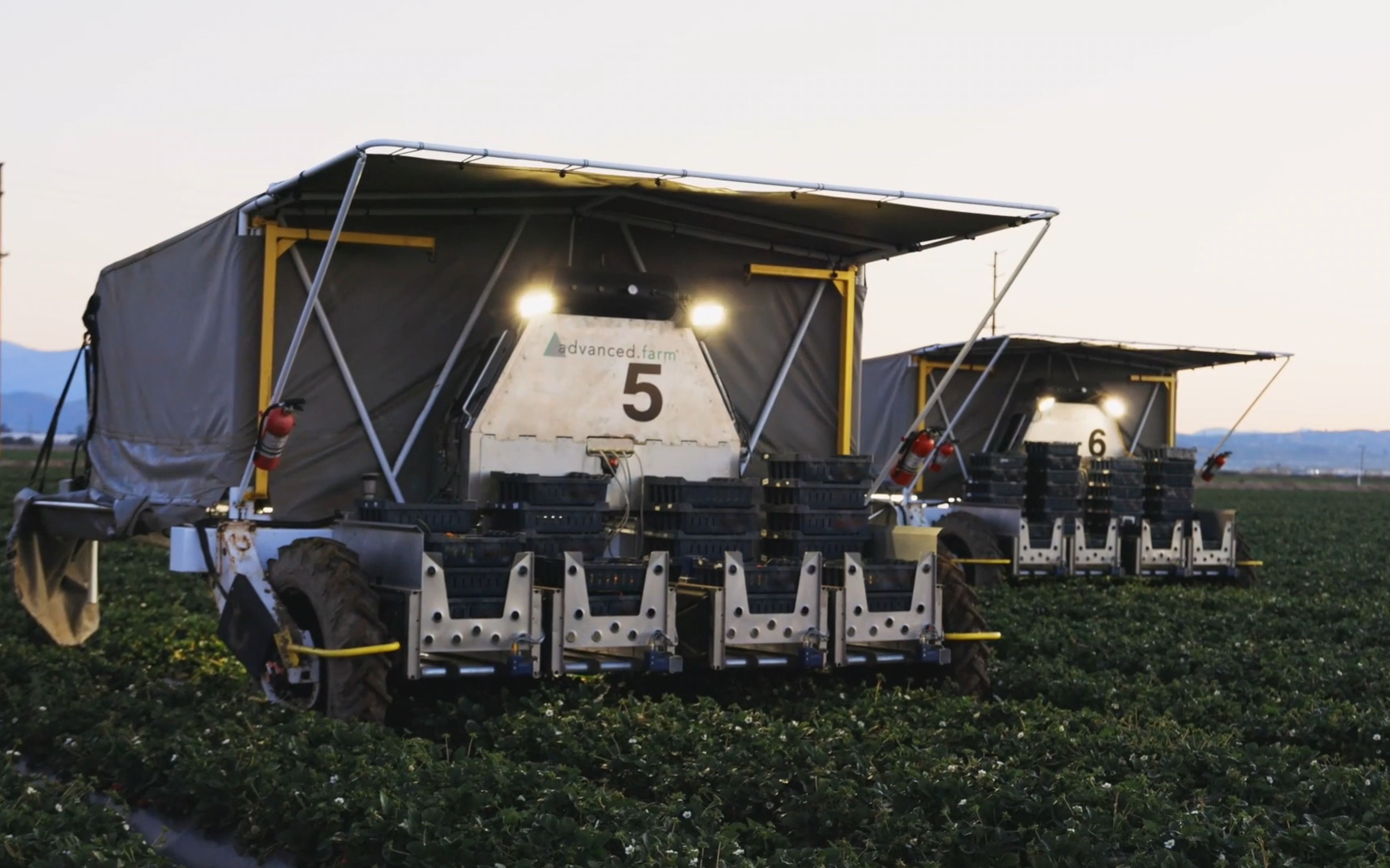 bwc滚轮导轨户外应用案例:自动化草莓采摘机械.