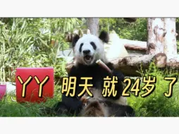 Video herunterladen: 丫丫 明天就24岁了！苦尽甘来 脱胎换骨的丫宝，一定会健康长寿的