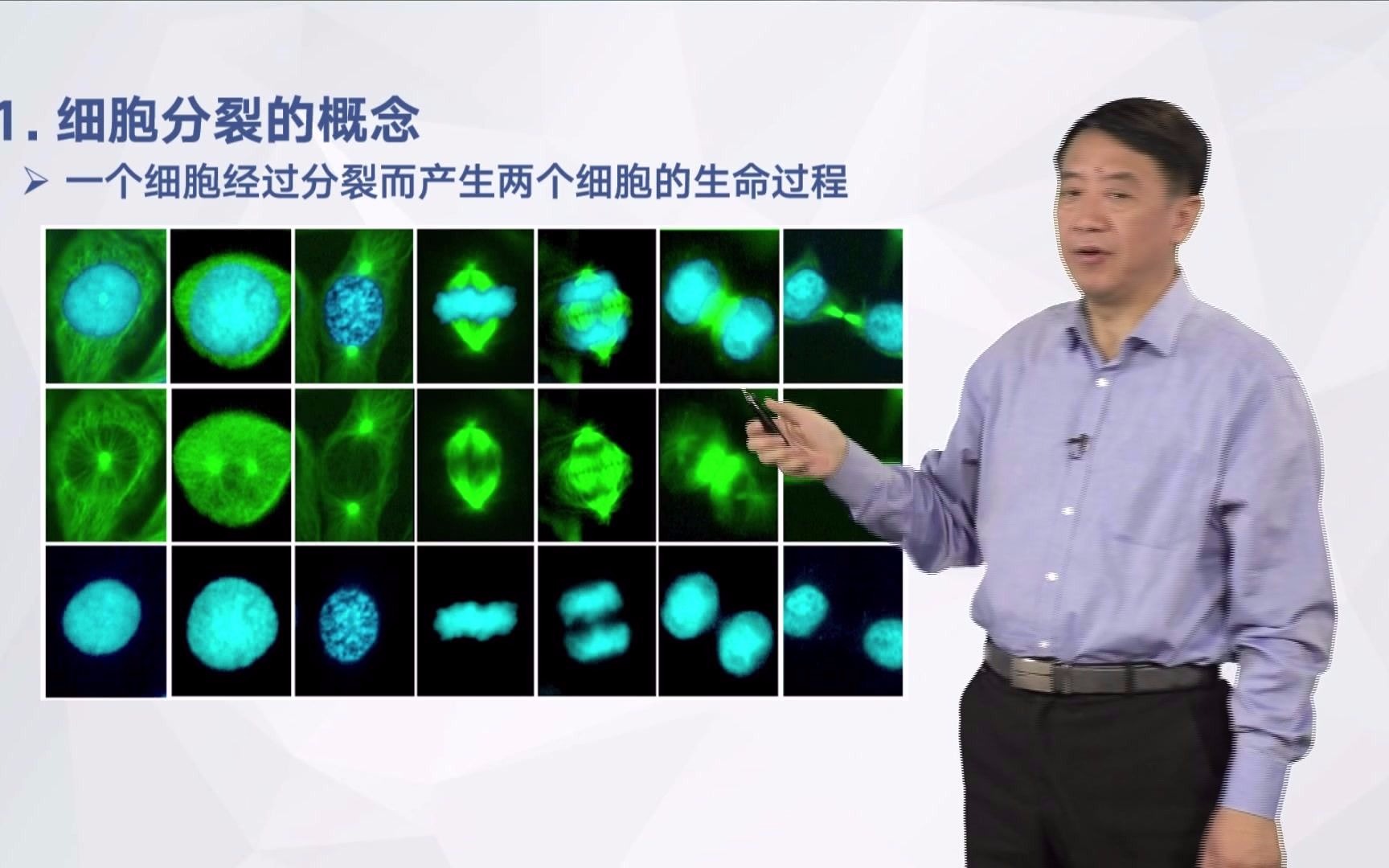 [图]【细胞生物学慕课】细胞分裂——北京大学张传茂，中国细胞生物学学会继续教育工作委员会倾力呈现