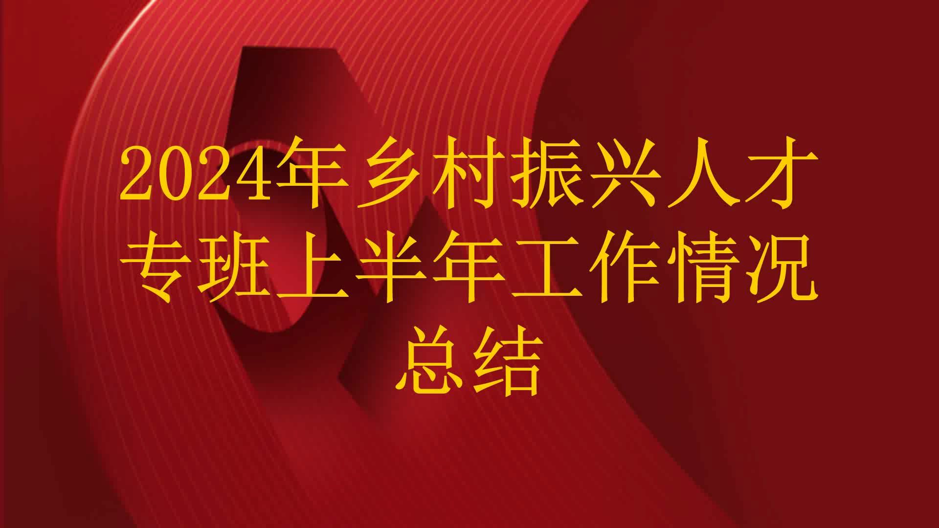 2024年乡村振兴人才专班上半年工作情况总结