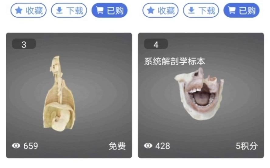 [图]【医维度app】系统解剖学——口腔