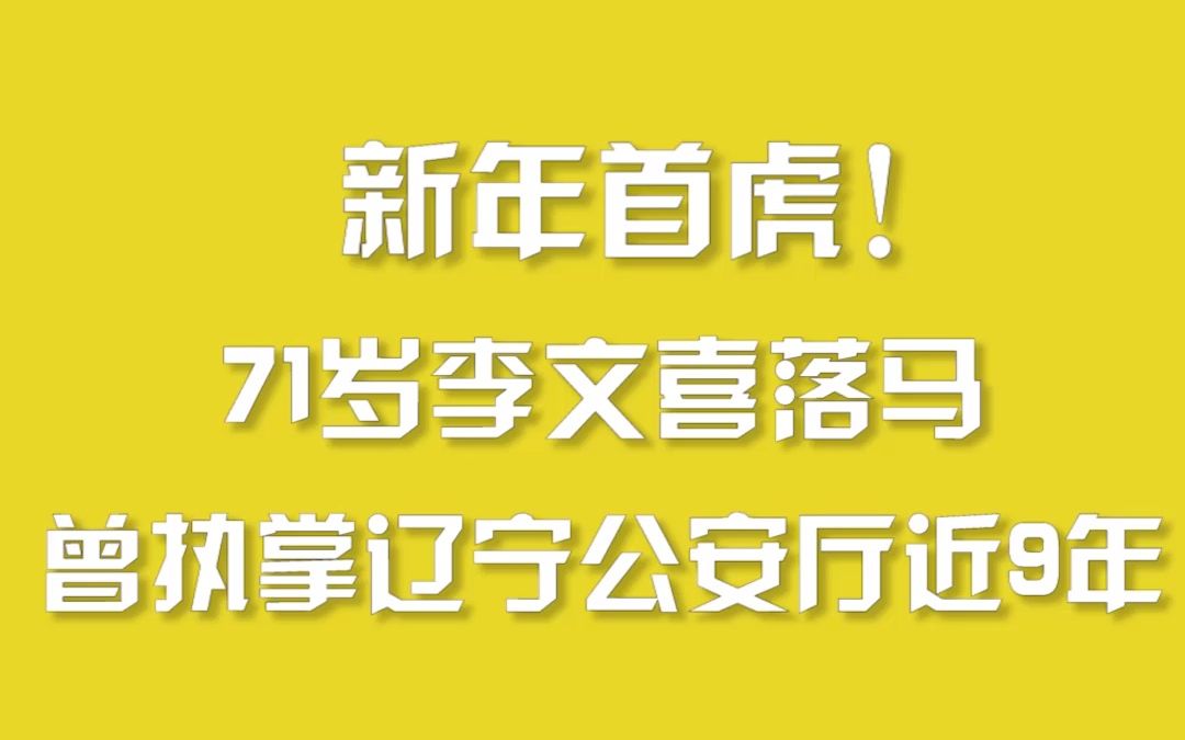 新年首虎!71岁李文喜落马,曾执掌辽宁公安厅近9年哔哩哔哩bilibili