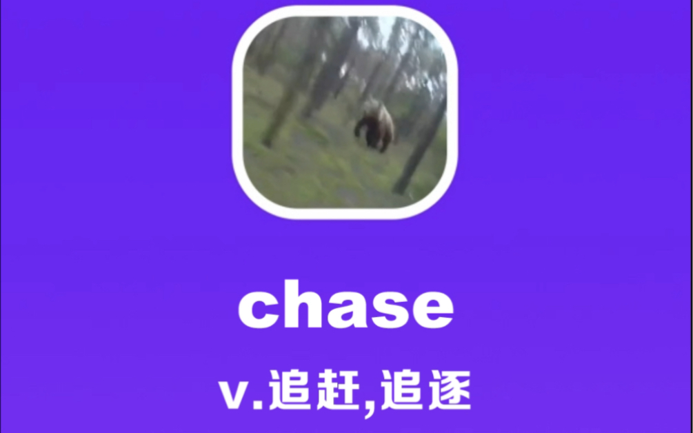 chase:追赶,追逐 - 哔哩哔哩