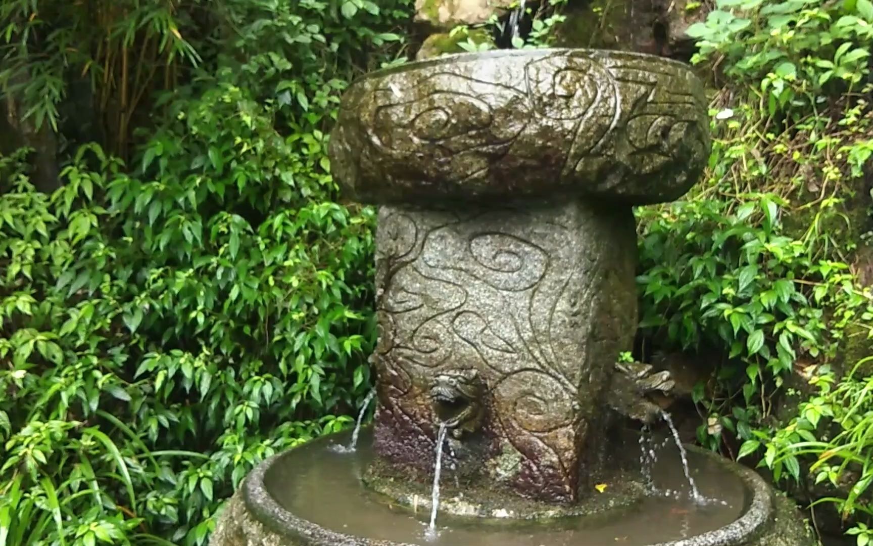 韶山旅游之龙头山滴水仙境,藏龙卧虎,真是一个风水宝地