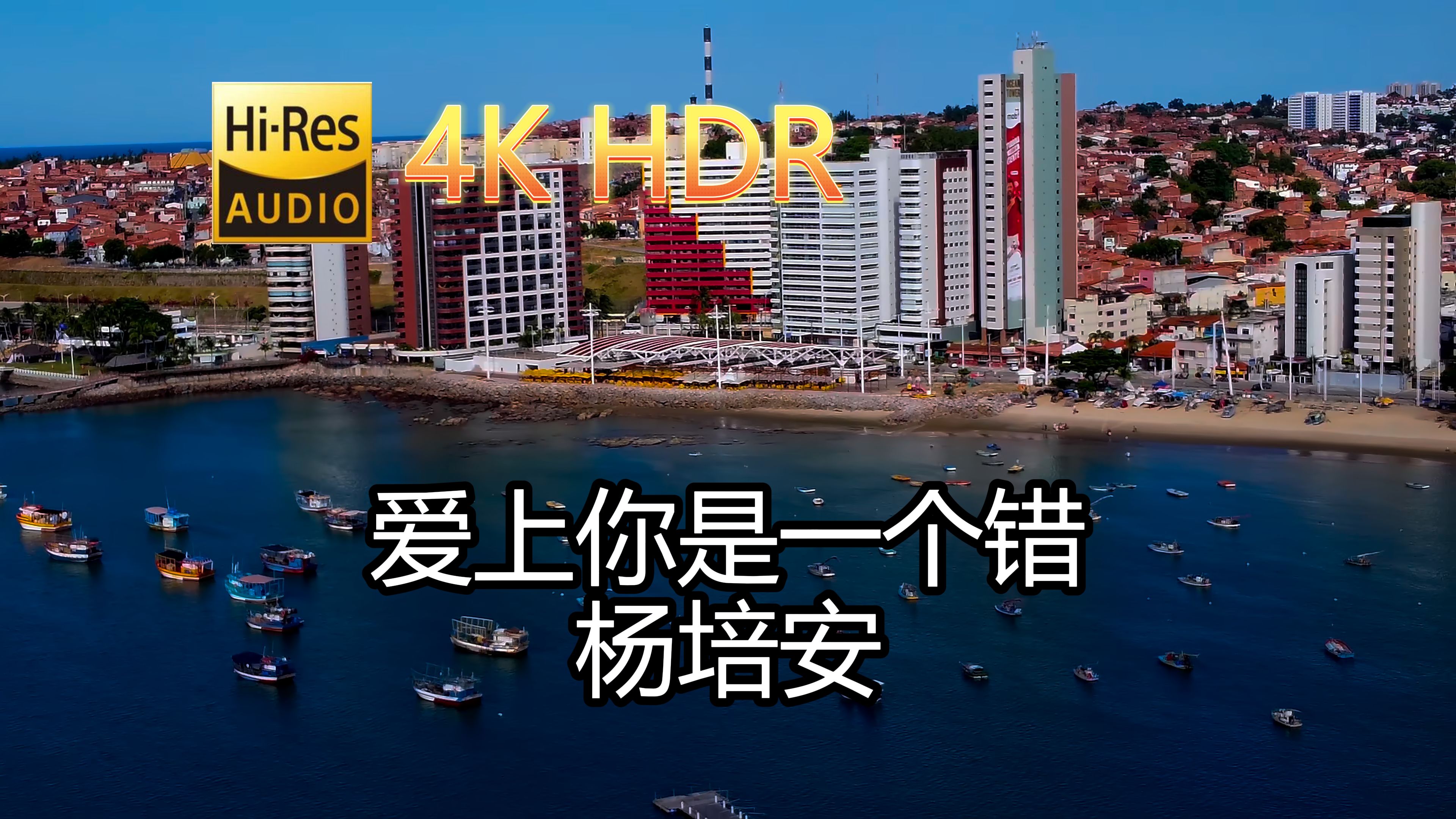 [图]杨培安-爱上你是一个错(无损音质自制混剪4KHDR60MV)[中文字幕]SQ(FLAC16/44)