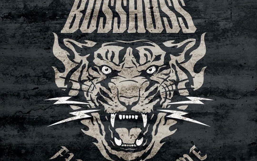 yes or no——the bosshoss