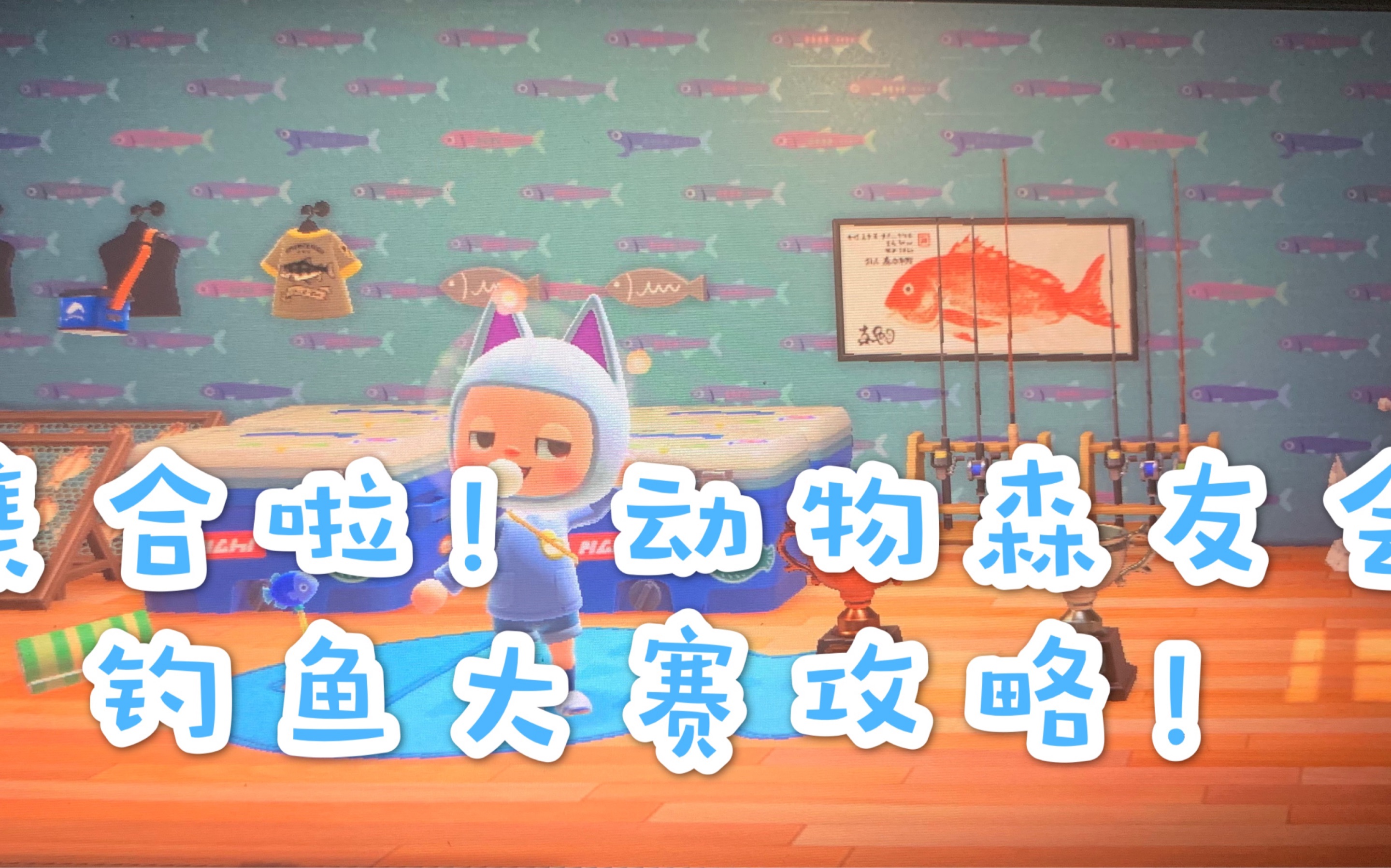 集合啦动物森友会411号钓鱼大赛攻略和家具衣服展示
