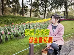 下载视频: 杭州太子湾郁金香花展！开展第二日直击现场，看绽况如何！？