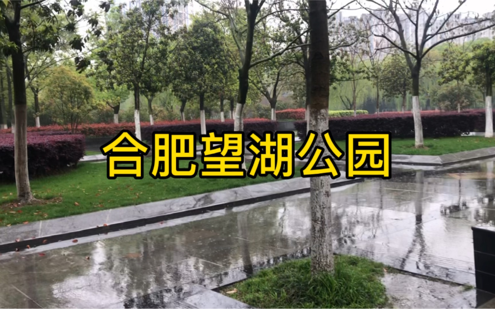 合肥望湖公园在城市中心闹中取静城市中有这样的公园真好
