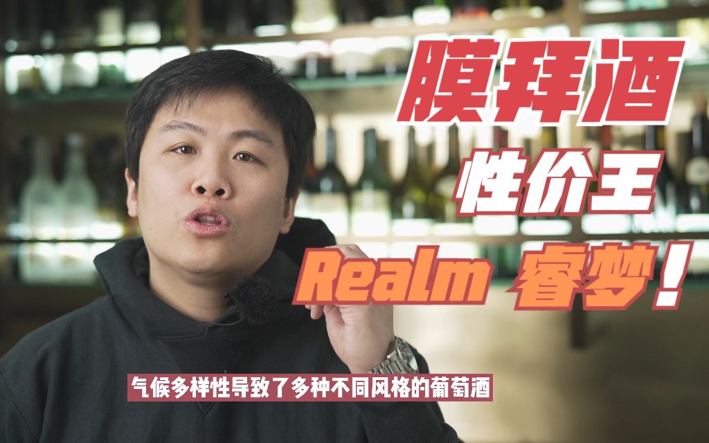 膜拜酒庄性价王 Realm睿梦酒庄哔哩哔哩bilibili