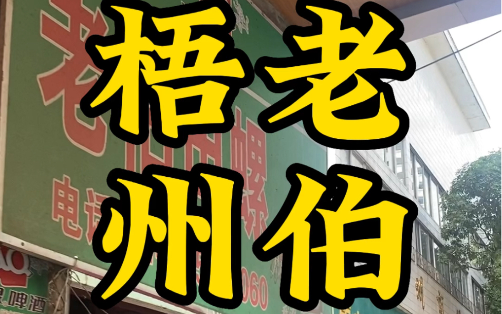 梧州田螺有2500年历史,但是梧州人不懂做营销哔哩哔哩bilibili