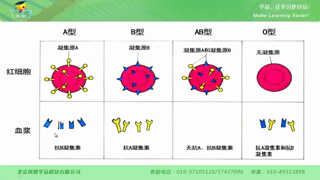 [图]第四单元 生物圈中的人 第十一讲 输血与血型--名师微课堂（自制）