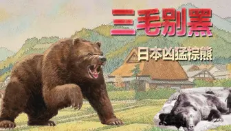 日本综艺节目 北海道三毛别羆事件 三溪羆事件 哔哩哔哩 Bilibili