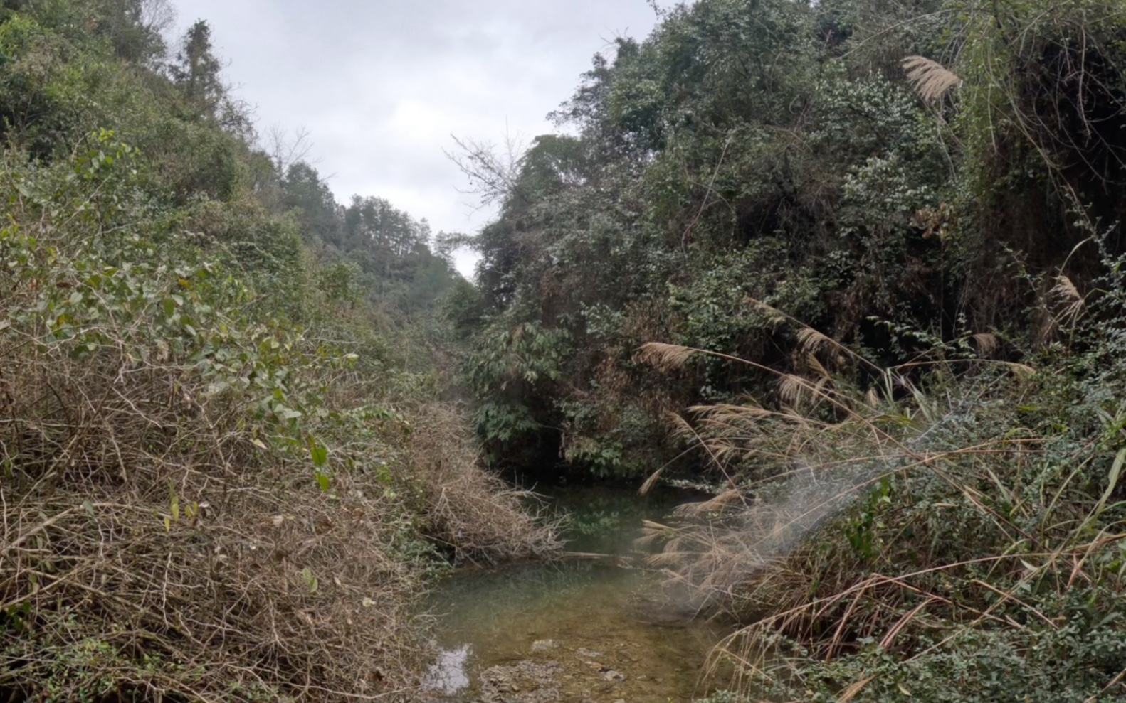 大山深处风景太美了,青山绿水美不胜收哔哩哔哩bilibili