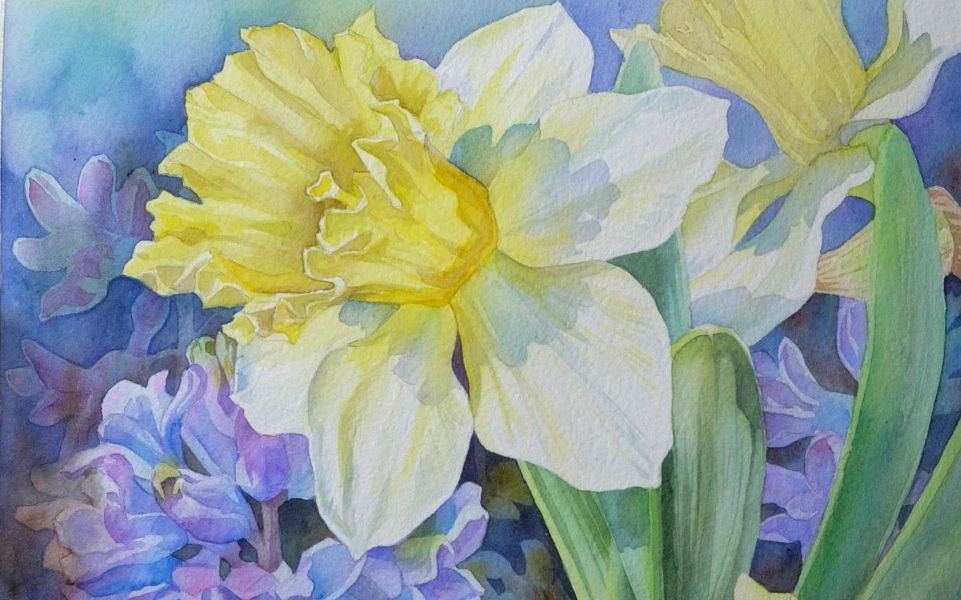 【水彩】黄水仙花的绘画过程