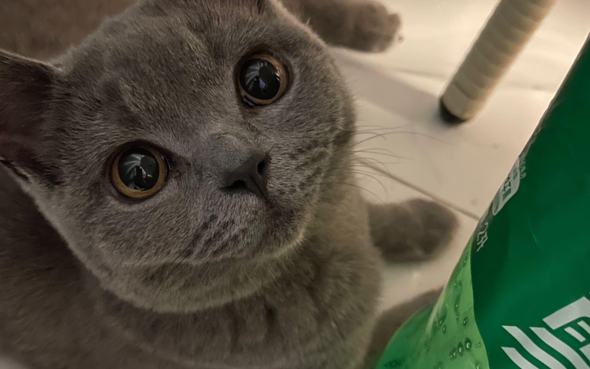 蓝喵喝雪碧不拧盖盖