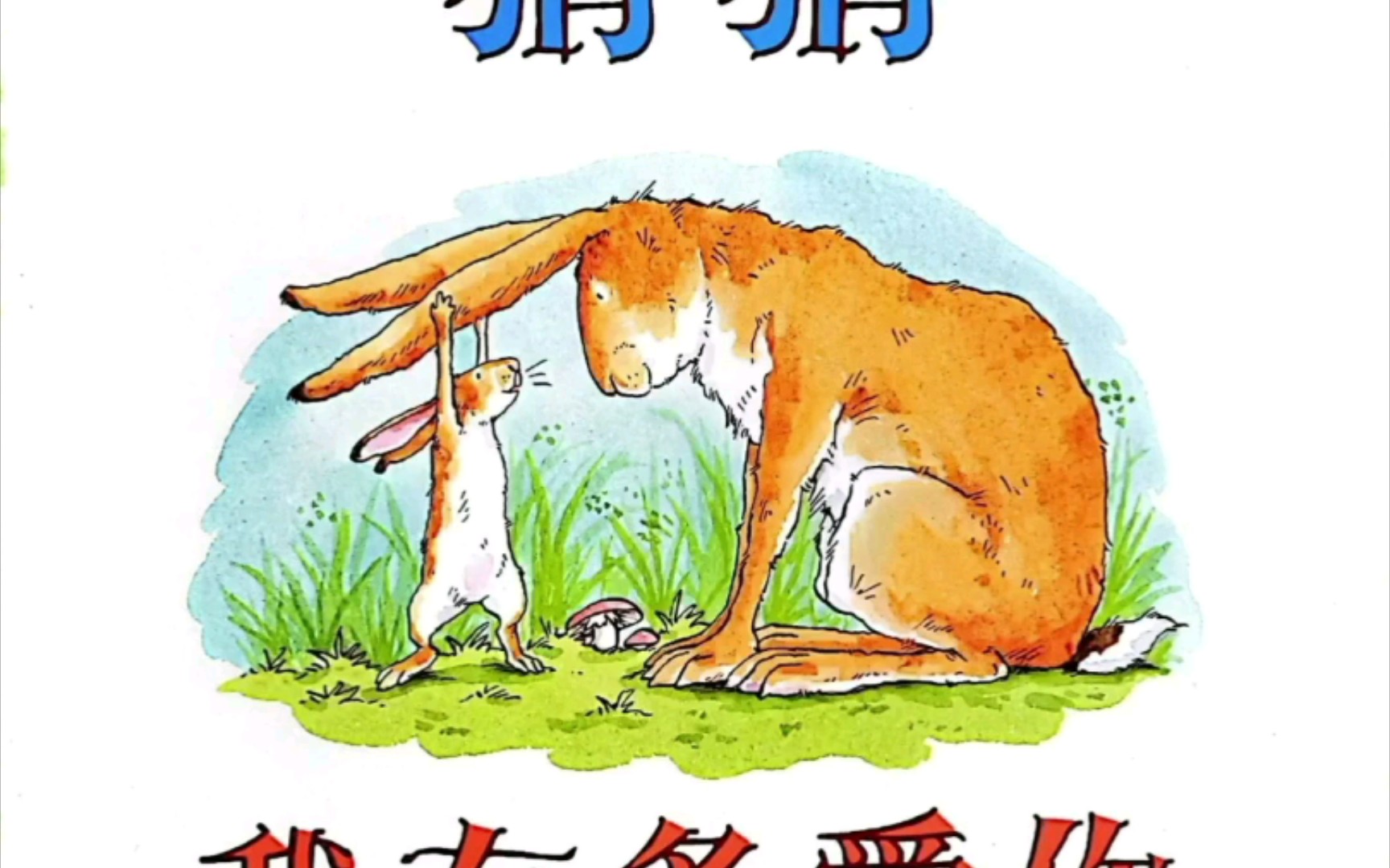 有声绘本之《猜猜我有多爱你》