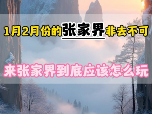 全网都在告诉您一月份二月份的张家界非去不可,衣服怎么穿,就是没有一个人告诉你来张家界到底怎么玩#张家界旅游攻略 #湖南张家界 #张家界天门山 #张...