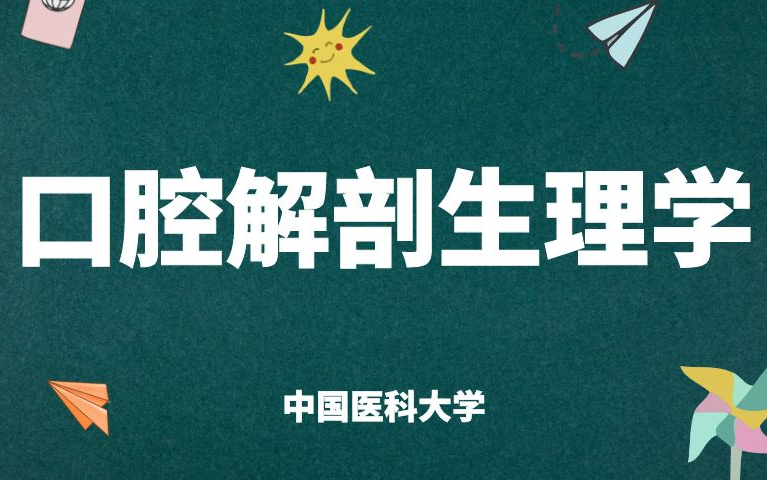 《口腔解剖生理学》课程全集中国医科大学哔哩哔哩bilibili