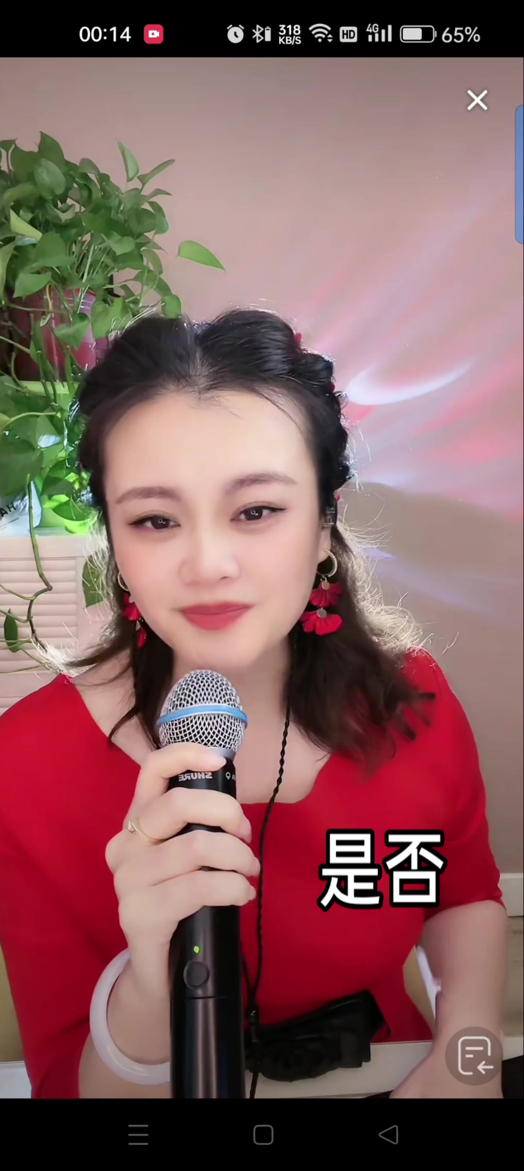 许海霞歌手96囍96