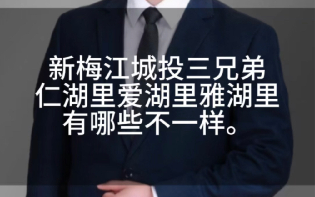 新梅江城投三兄弟 仁湖里 爱湖里 雅湖里有哪些不一样,分别有啥区别?#天津房产哔哩哔哩bilibili