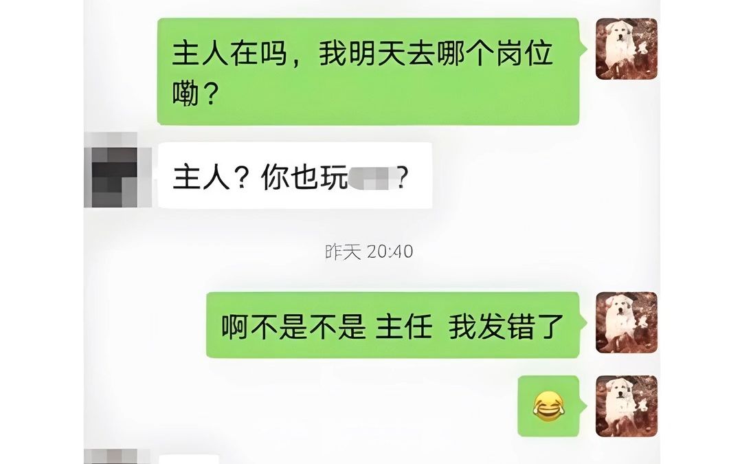 好像错过了什么???哔哩哔哩bilibili