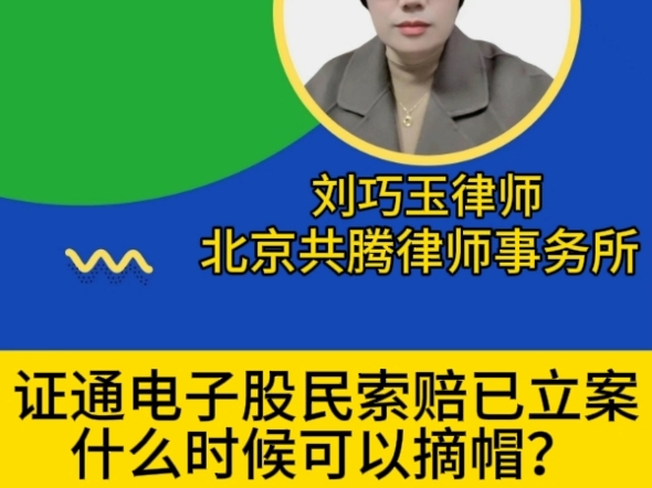 证通电子股民索赔已立案 什么时候可以摘帽?哔哩哔哩bilibili