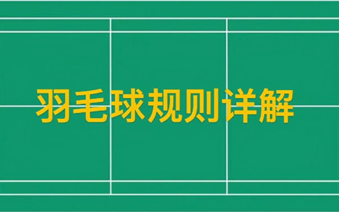 羽毛球规则详解,新手菜鸟入坑必修课,两分钟让你搞得明明白白!哔哩哔哩bilibili