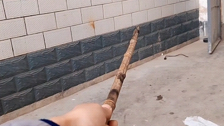 谁不想有一个这么直的棍子