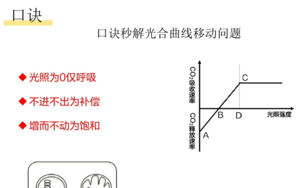 [图]教你如何一招秒杀高中生物光合作用点图像。