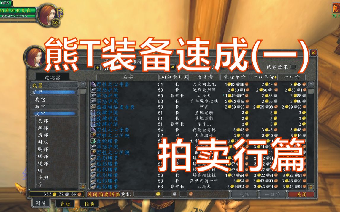 熊t装备速成(一)拍卖行篇,魔兽世界 怀旧服 德鲁伊 新手