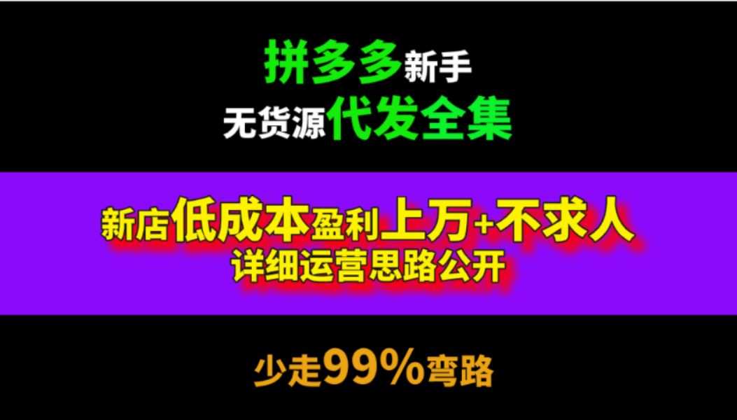 拼多多新手无货源代发全集新店低成本盈利上万+不求人详细运营思路,少走99%弯路,拼多多起店实操,拼多多运营教学,拼多多新手开店,拼多多运营思...