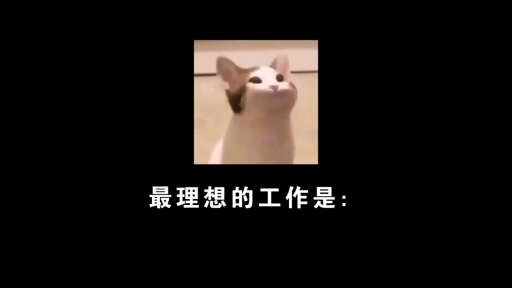 最理想的工作哔哩哔哩bilibili