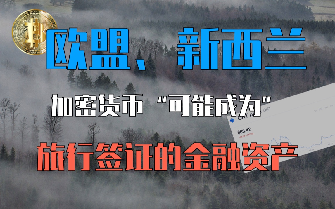 欧盟、新西兰:加密货币“可能成为”旅行签证的金融资产! 区块链每日新闻20220224哔哩哔哩bilibili