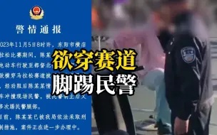 Download Video: 女子欲横穿马拉松赛道被阻止，当众脚踢民警，警方：已对该女子采取刑事强制措施