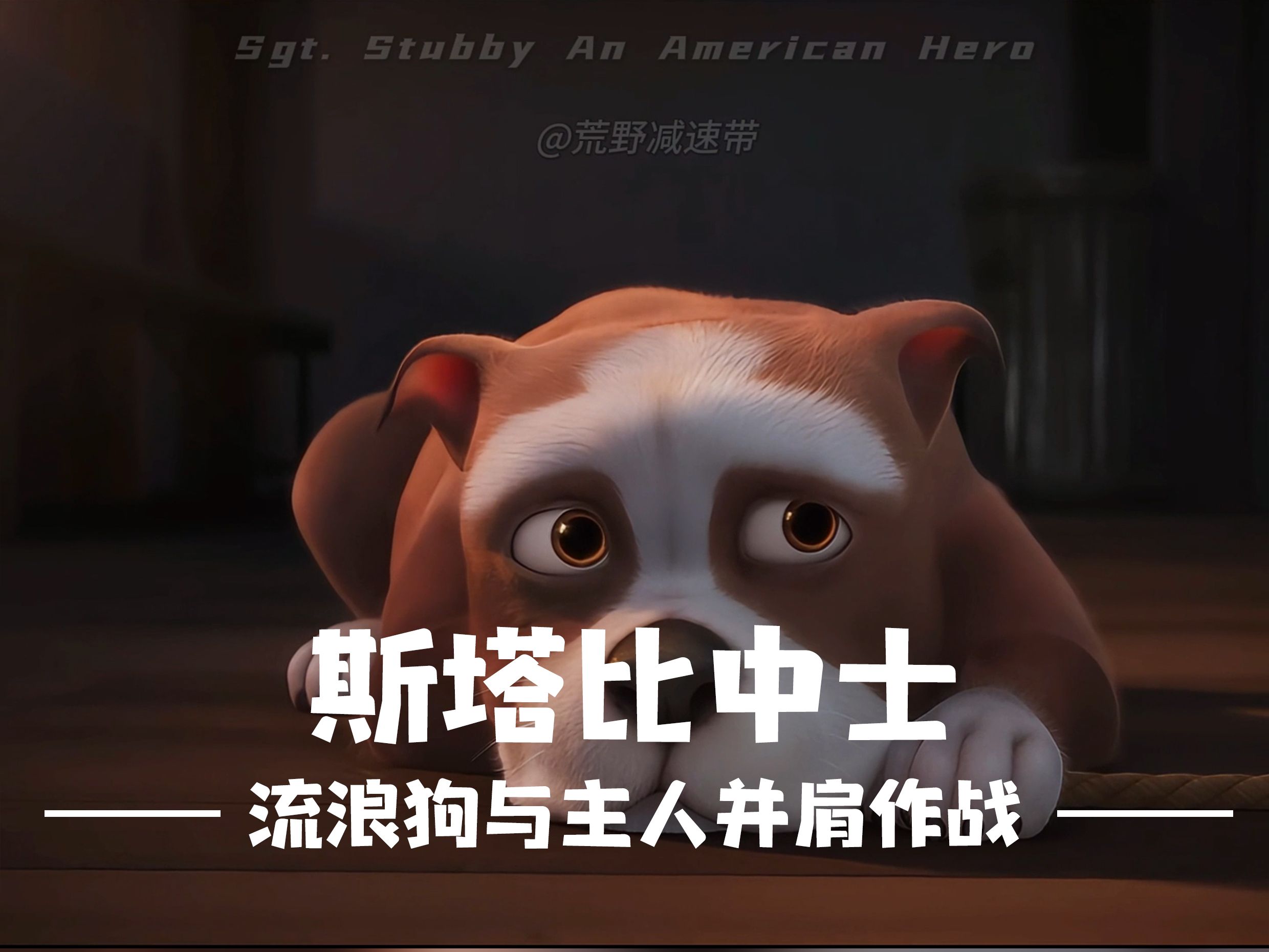 斯塔比中士:一个美国英雄