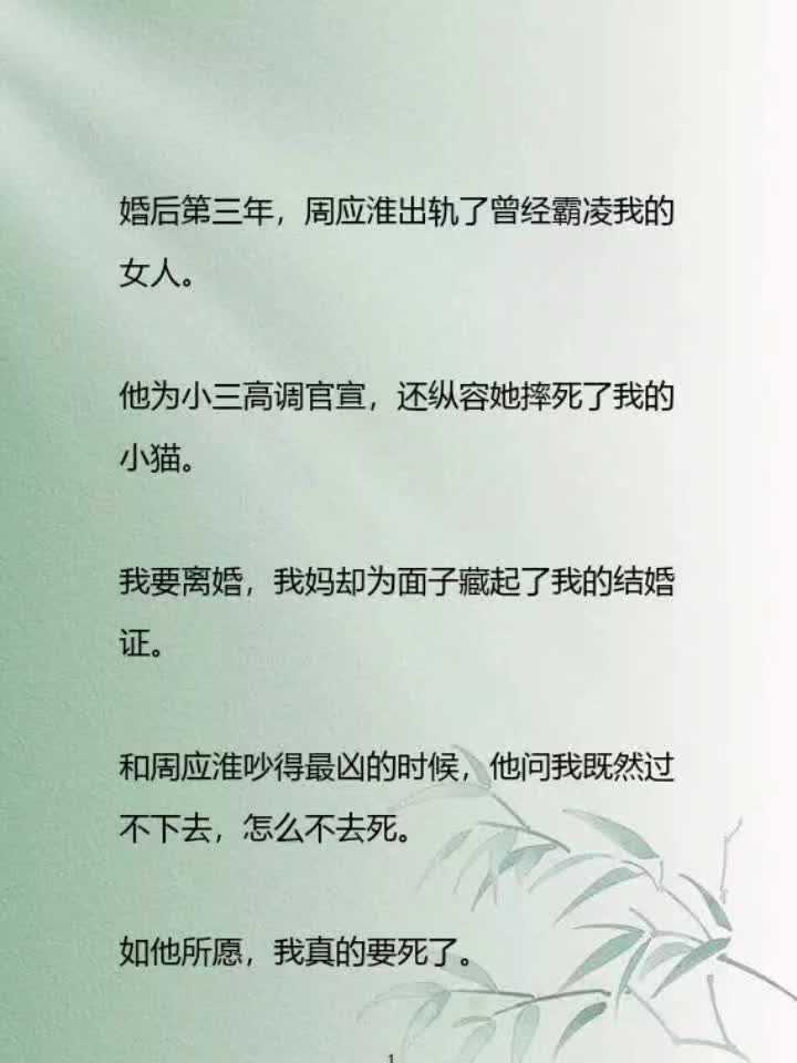 婚后第三年,周应淮出轨了曾经霸凌我的女人