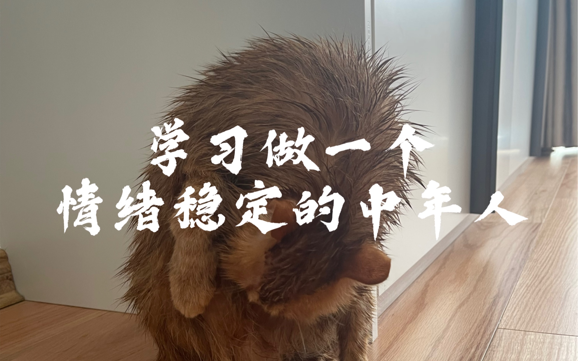 学习做一个情绪稳定的中年人