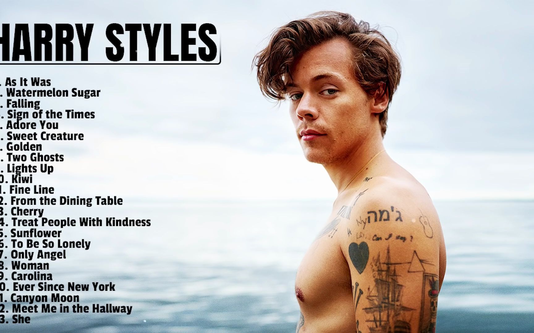 [图]哈里·斯泰尔斯 英国歌手 Harry Styles Greatest Hits - Best Songs Collection Full Album