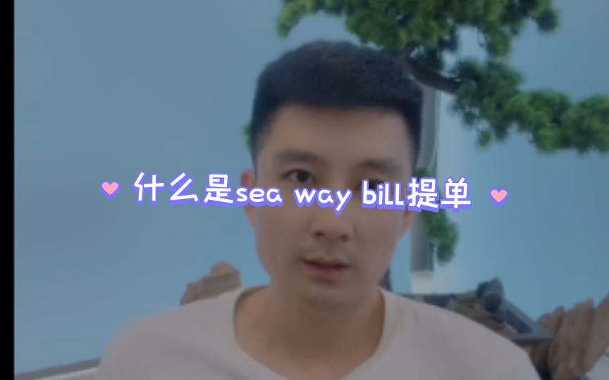 什么是sea way bill提单哔哩哔哩bilibili