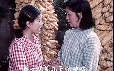 [图]《点点在心_大观园》[现代戏剧]杏花村(眉户戏)-4