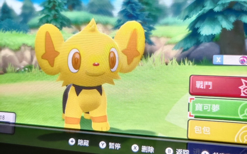 闪光小猫怪全闪队成员2/6,可以带避雷针或静电增加小猫怪出货概率