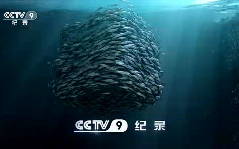 CCTV纪录频道中文形象宣传片哔哩哔哩bilibili