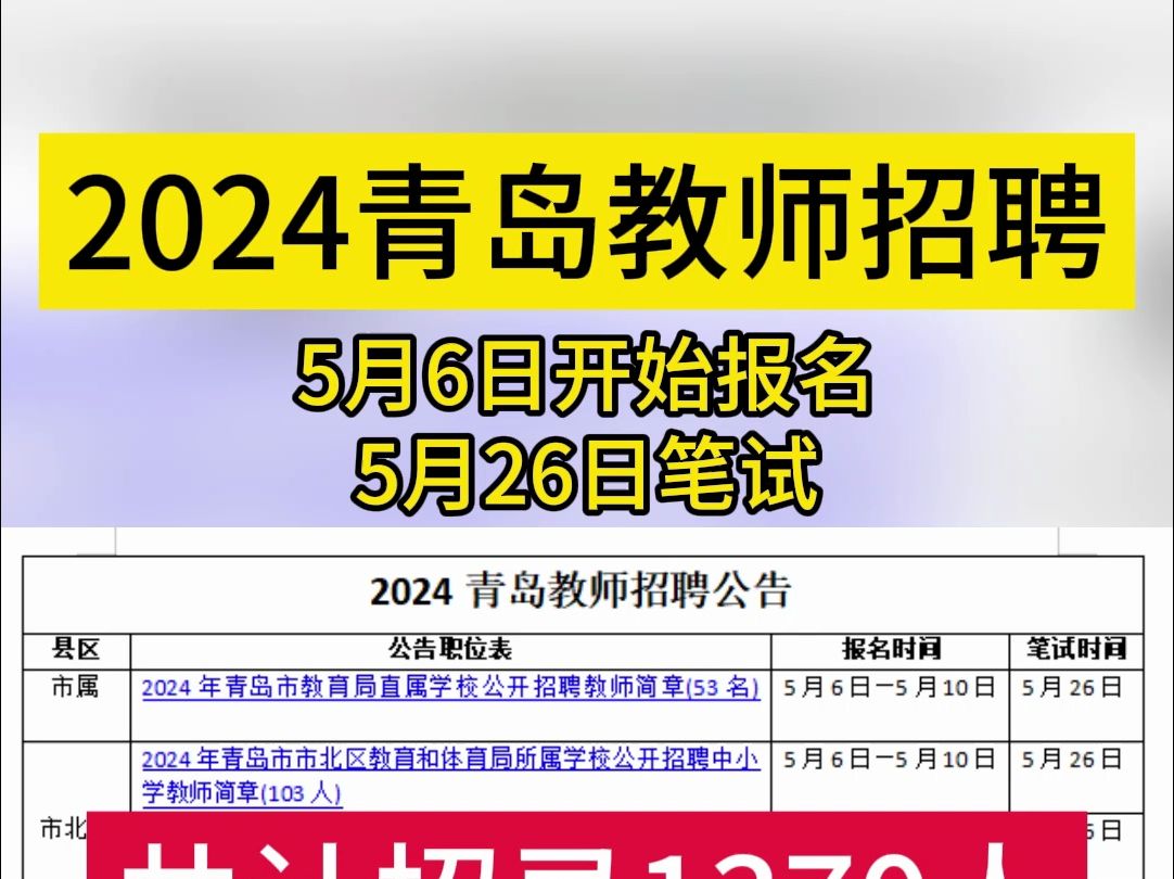 2024青岛教师招聘,招录1370人!哔哩哔哩bilibili