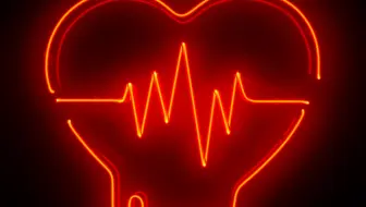 関ジャニ 官网movie存存 哔哩哔哩 Bilibili