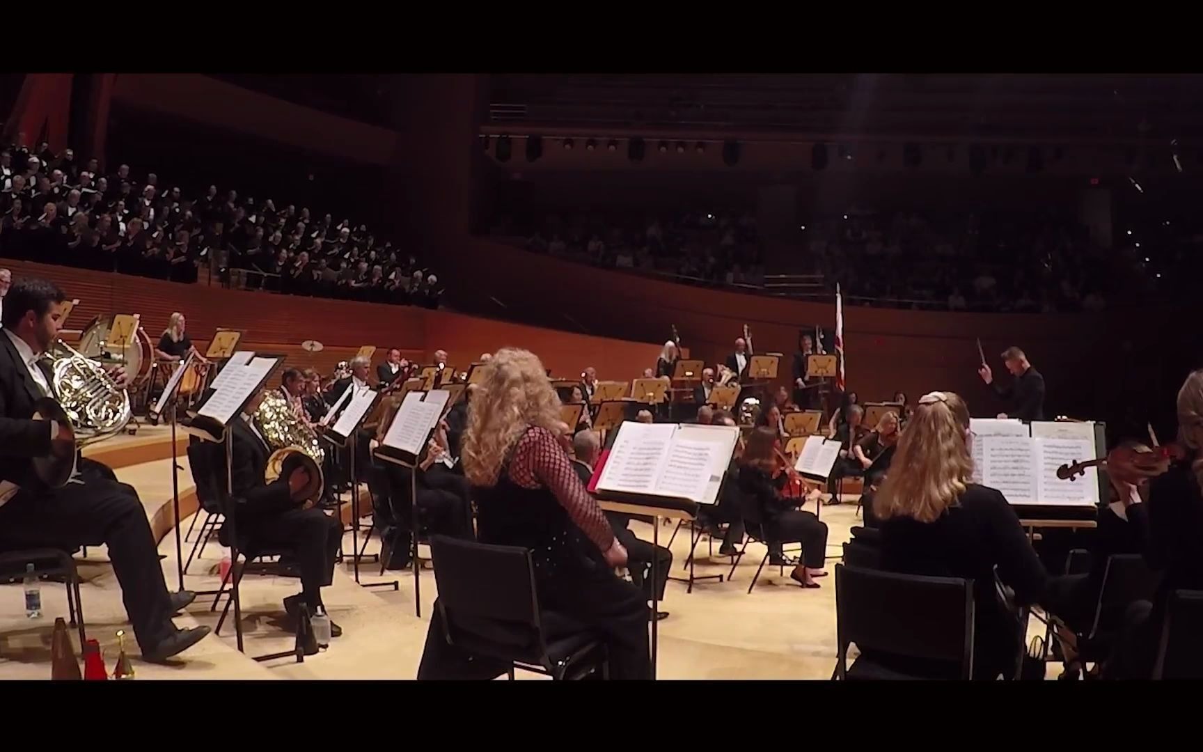 [图]【好莱坞音乐奇才】Brian Tyler Conducts at Disney Hall Thor The Dark World