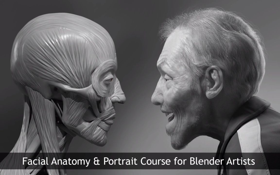 [图][国语]Blender3艺术家的面部解剖学和人物肖像